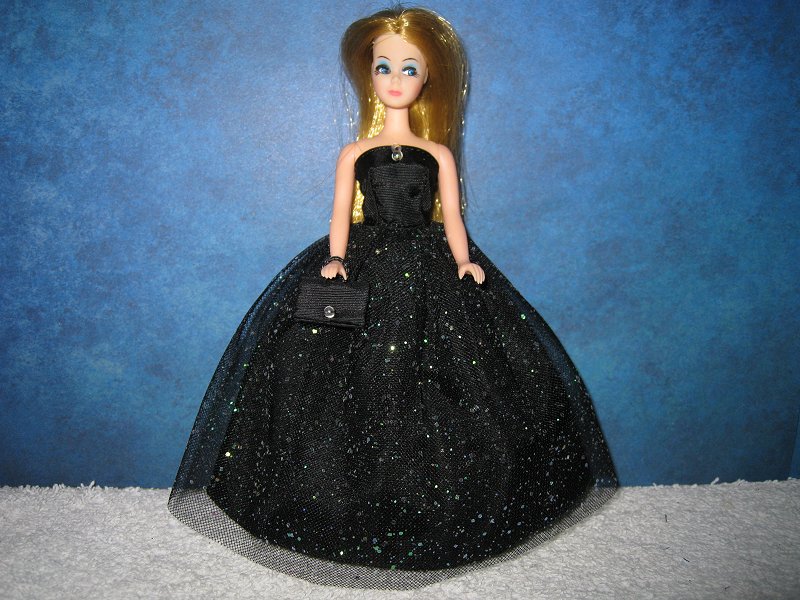 MIDNIGHT SKY gown with purse