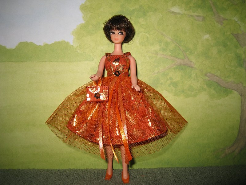 Tangerine Tulle Dress with purse