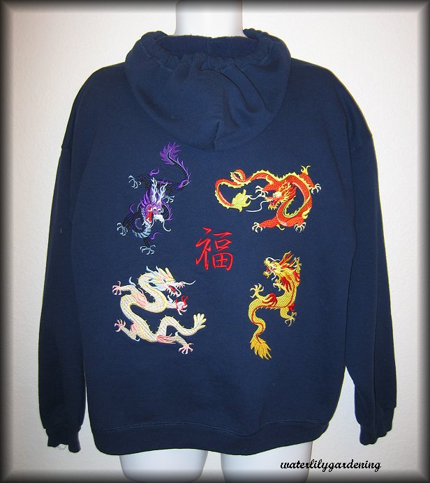 4 Chinese Dragon & Good Fortune Example