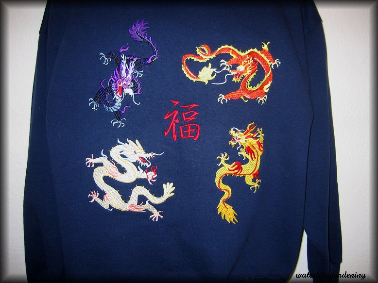 4 Chinese Dragon & Good Fortune