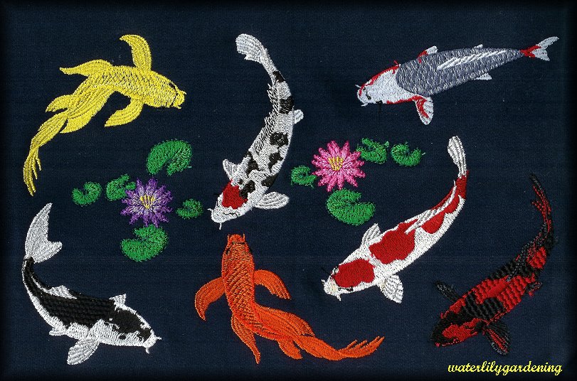 7 Koi with 2 water lilies Design #6