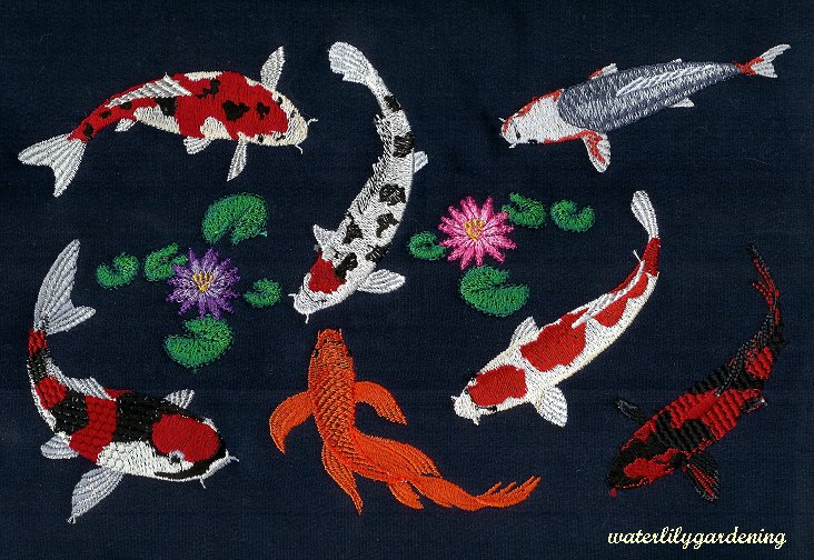 7 Koi with 2 water lilies Design #4