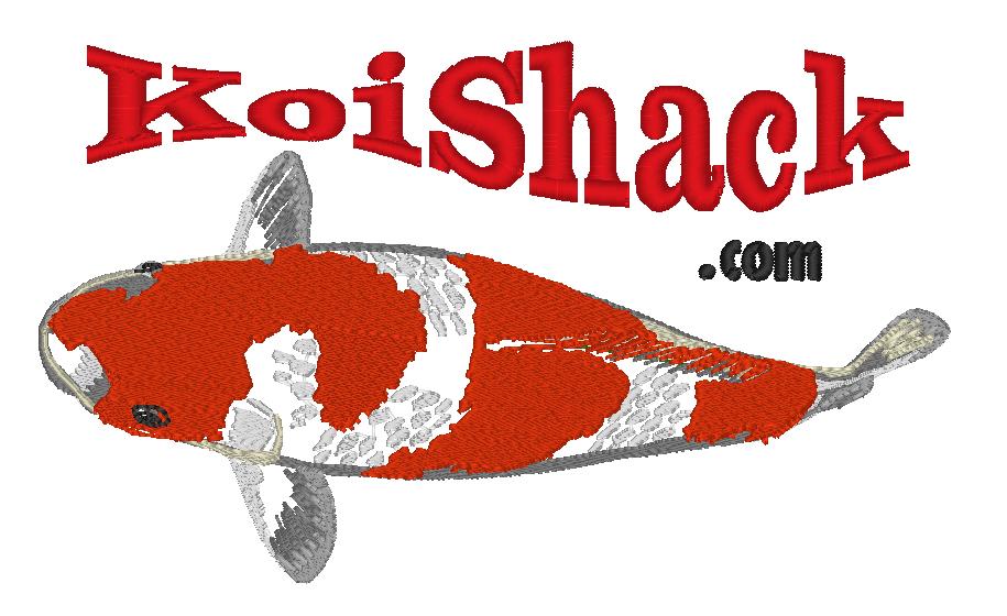Big Kohaku KoiShack