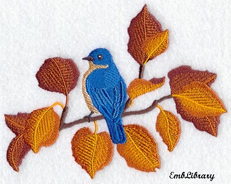 Bluebird Autumn