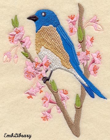 Bluebird Spring