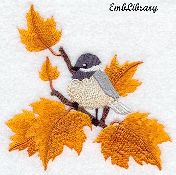 Chickadee Autumn