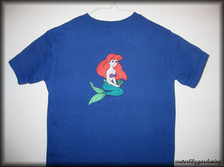 Little Mermaid (Example/not for sale)