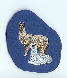 Paired Llama Example magnet