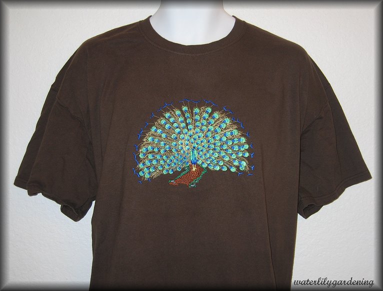 Peacock shirt Example