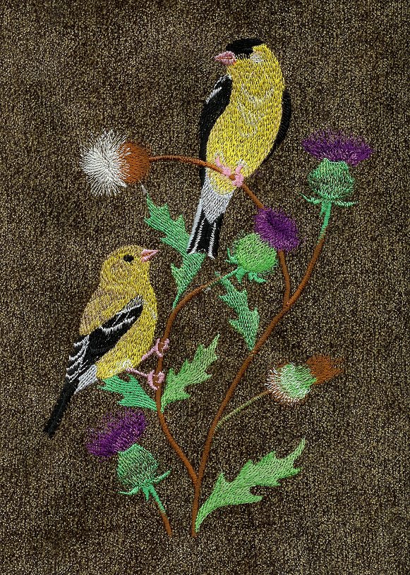 Spring Goldfinches