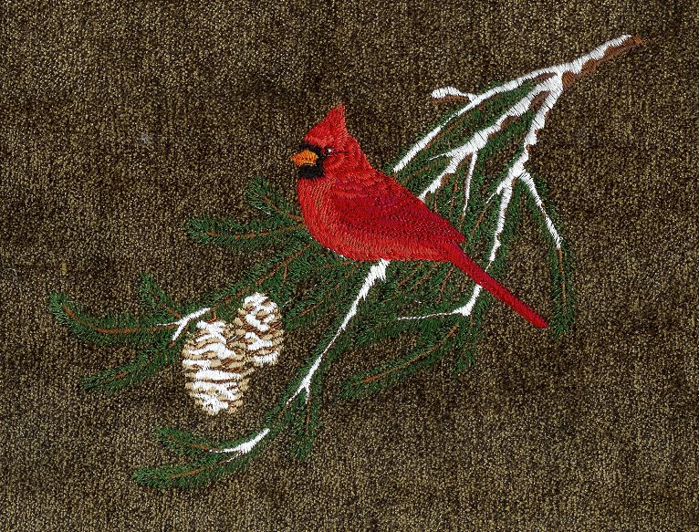 Cardinal Winter