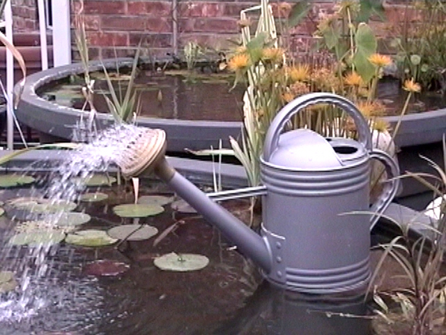 Watering Can spitter/fountain